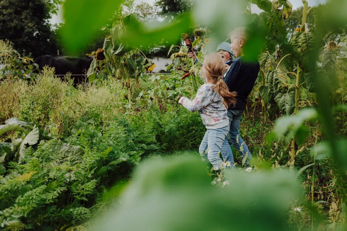 Kinder spielen in einem Gemüsebeet